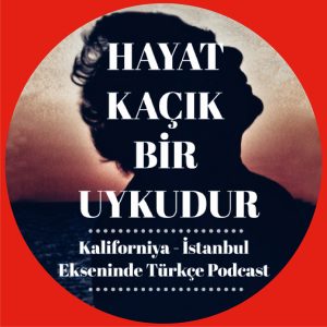 DENİZALTINDA KAYBOLMAK – KİM WALL